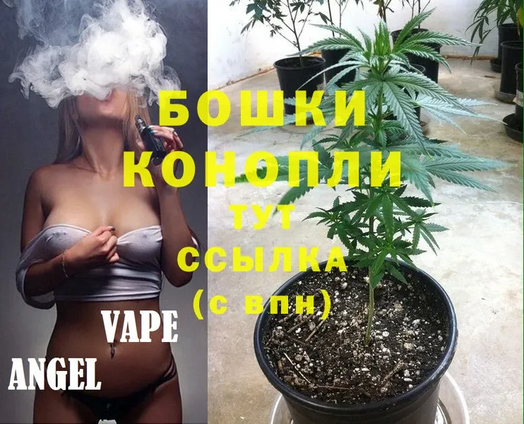 где можно купить наркотик  Белокуриха  Каннабис SATIVA & INDICA 